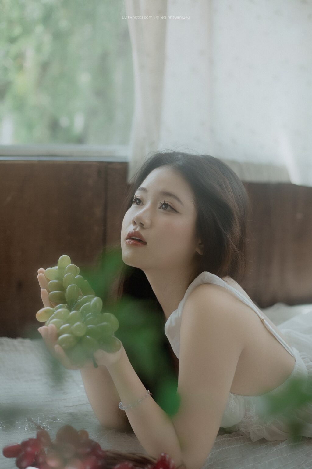 LDTPhotos | Le Dinh Tuan - @ledinhtuan 